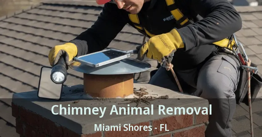 Chimney Animal Removal Miami Shores - FL