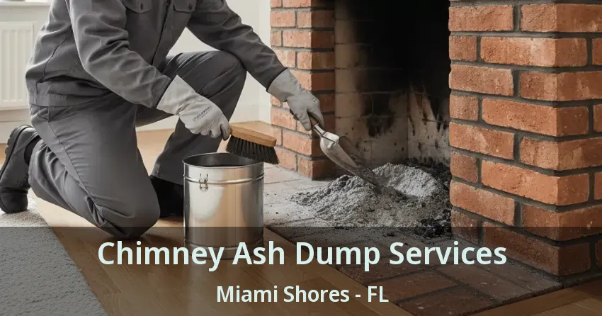 Chimney Ash Dump Services Miami Shores - FL