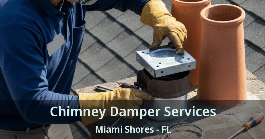 Chimney Damper Services Miami Shores - FL