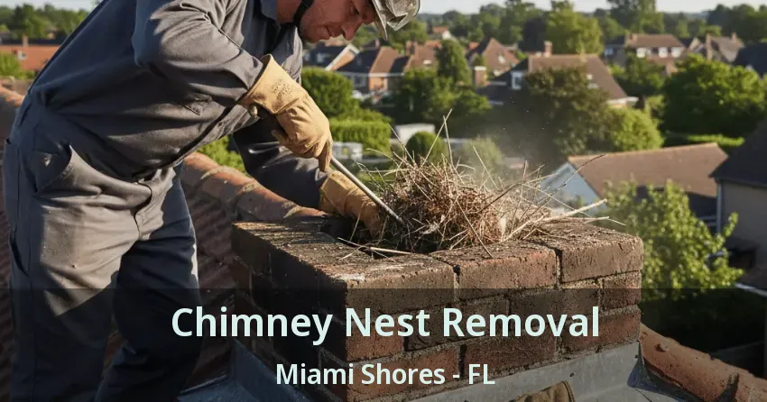 Chimney Nest Removal Miami Shores - FL