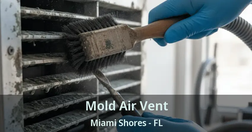 Mold Air Vent Miami Shores - FL