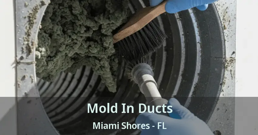 Mold In Ducts Miami Shores - FL